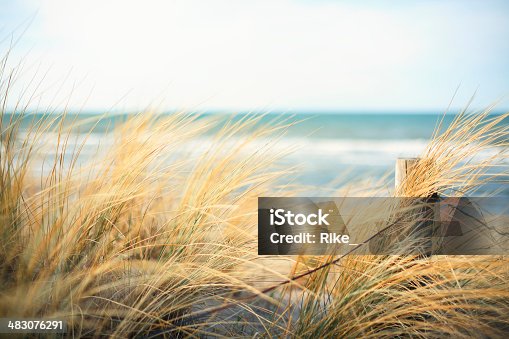 istock Day at the Ocean 483076291