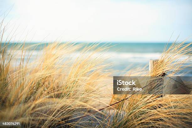 Day At The Ocean Stock Photo - Download Image Now - Nature, Beach, Summer