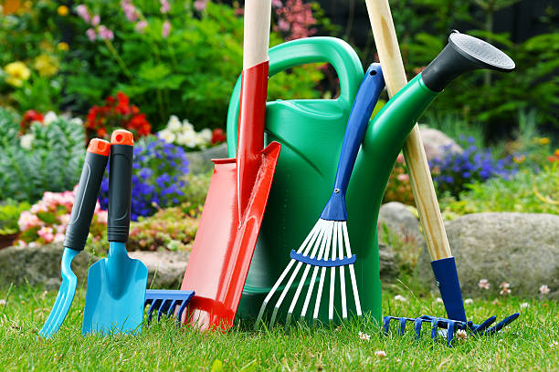 istock Watering can and tools in the garden 483076442