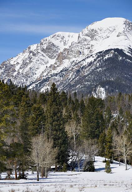 istock Rocky Mountain National Park in Winter 483077019