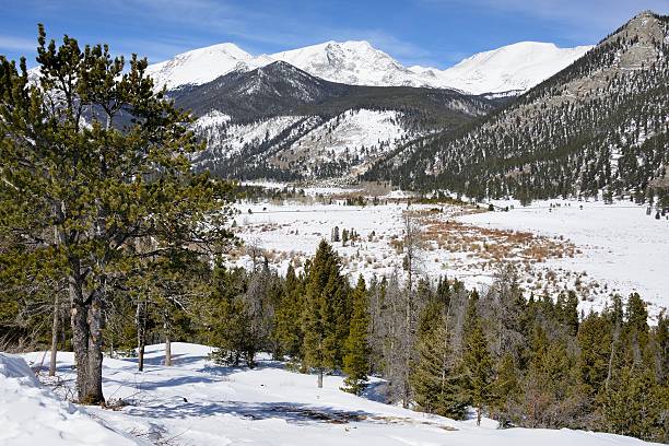 istock Rocky Mountain National Park in Winter 483077067