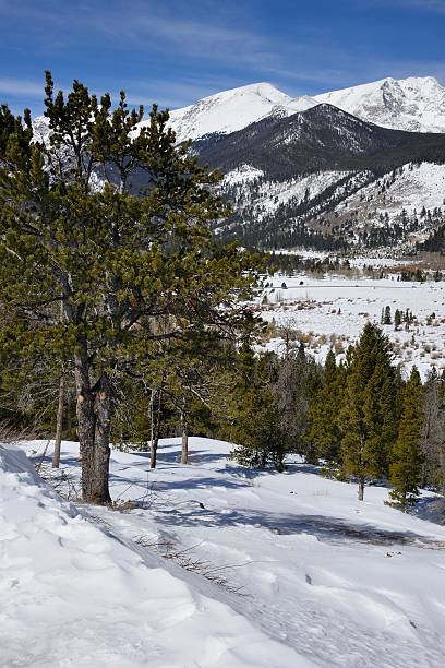 istock Rocky Mountain National Park in Winter 483077083