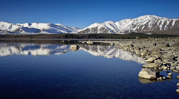 istock Dunedin in New Zealand 483078175