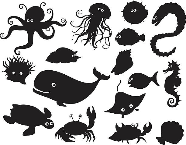 Sea creatures silhouettes Set of sea creatures silhouettes including octopus, eel, whale, turtle, manta ray, crab, puffer fish, sea horse, shells, jelly fish, anemone etc. Eyes are on a separate layer so are easy to remove. sea life isolated stock illustrations