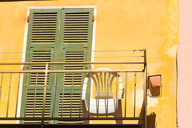 istock Manarola on the Cinque Terre, Italy 483078689