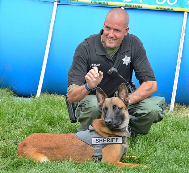 Araphoe County Sherrif with K-9 dog speaking to the crowd Aurora, CO, USA- July 26, 2015: Arapahoe County Sheriff with K-9 dog speaking to the crowd at the Arapahoe County fair. police dog handler stock pictures, royalty-free photos & images