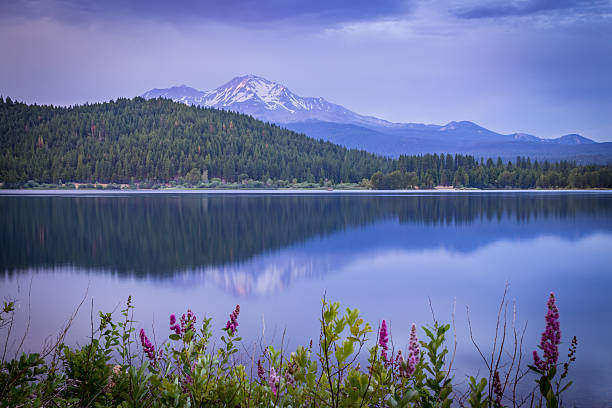 Blue Hour over Lake Siskiyou Mount Shasta reflected in Lake Siskiyou in Northern California on a summer evening. siskiyou lake stock pictures, royalty-free photos & images