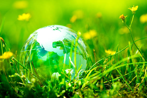 istock Green & Eco environment, glass globe in the garden 483080014