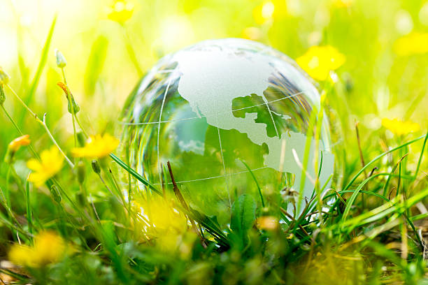 istock Green & Eco environment, glass globe in the garden 483080018
