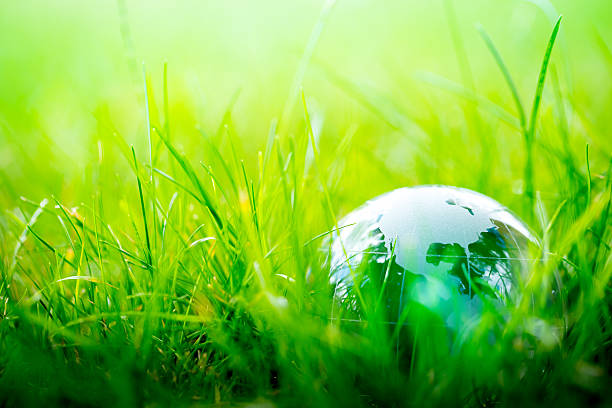 istock Green & Eco environment, glass globe in the garden 483080022