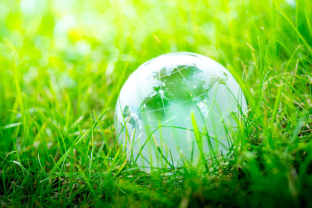 istock Green & Eco environment, glass globe in the garden 483080024