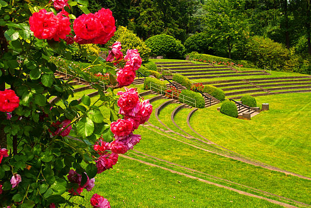 国際バラ試験庭園でポートランド - formal garden garden path bench flower ストックフォトと画像