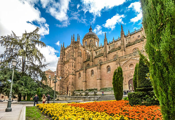 bela vista da catedral de salamanca, castilla y leon região - plaza mayor imagens e fotografias de stock