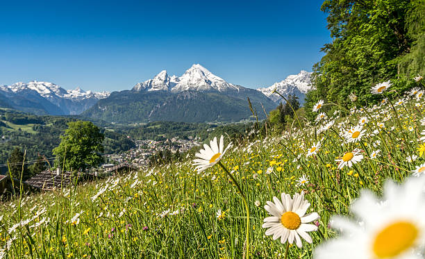 istock Idyllic summer landscape in the Alps 483083188