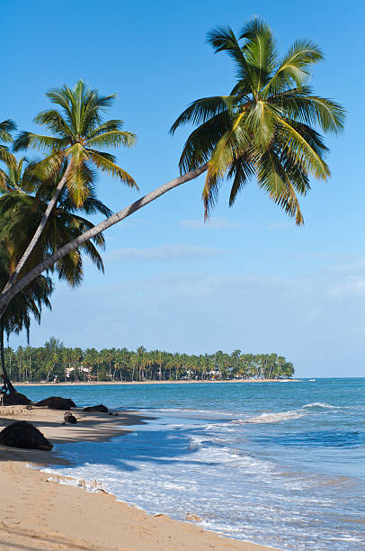istock Caribbean sea and beach 483089598