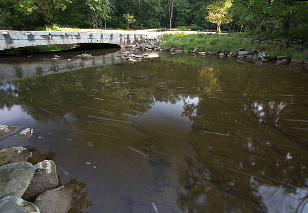 istock Rocky Creek bottom near Bridge 483092220
