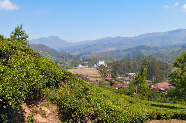 istock View of tea plantation valley in Munnar 483092598