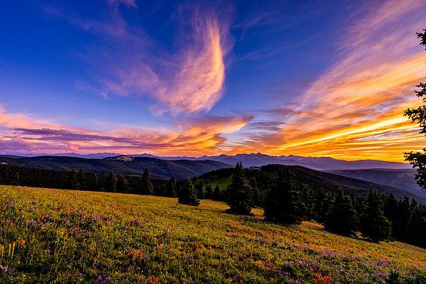 istock Wildflower Meadow Amazing Landscape with Mountain View 483092840