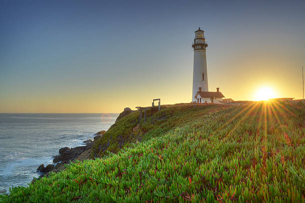istock Pigeon Point Light house, California 483095245