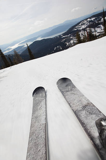 istock HItting the groomers on a sunny day. 483096081