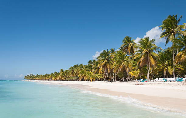 istock Caribbean sea and beach 483096134