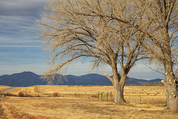 istock Rural New Mexico landscape 483097247