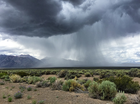 Heavy rain in a desert thunderstorm over sage covered desert