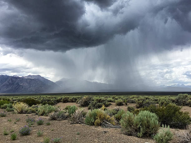 Desert Thunderstorm Heavy rain in a desert thunderstorm over sage covered desert Microburst stock pictures, royalty-free photos & images