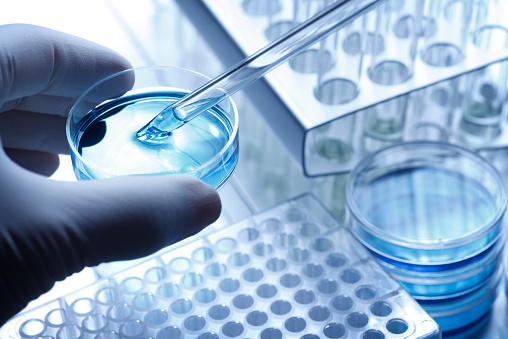 A scientist holds a petri dish uses a pipette to remove a sample of solution. In the background is a stack of petri dishes and two test tube racks which suggest the sterile environment of a laboratory.  The hand is covered with a latex glove. A  cool blue tone is the dominant color scheme.