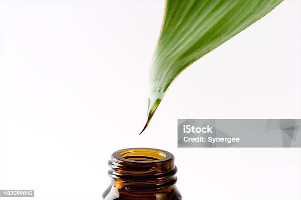 Herbal Essence Stock Photo - Download Image Now - Drop, Leaf, Nature