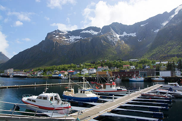 istock Gryllefjord, Senja, Norway 483101230