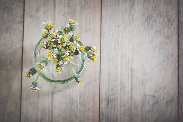 Small white grass flower in glass pot