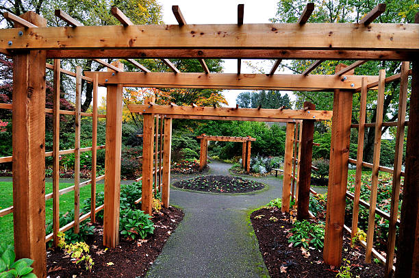 istock wooden archway in a garden 483105536