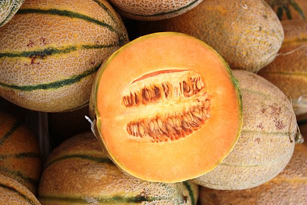 istock Cantaloupe melon Freshly harvested on the market 483106732