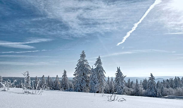 foresta invernale con neve e abete coperto - schneelandschaft foto e immagini stock