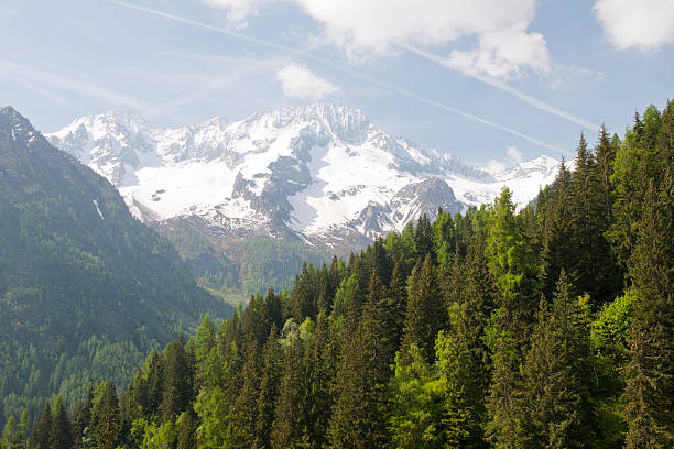 istock Adamello Brenta Natural Park 483111452