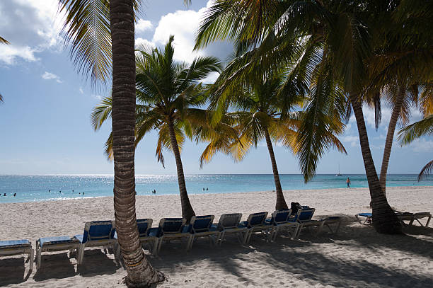 istock Caribbean sea and beach 483112010