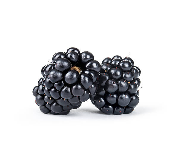 istock close up view of nice fresh blackberry on white back 483112128