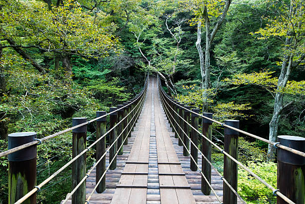 istock Shiomi Falls Suspension Bridge 483112994