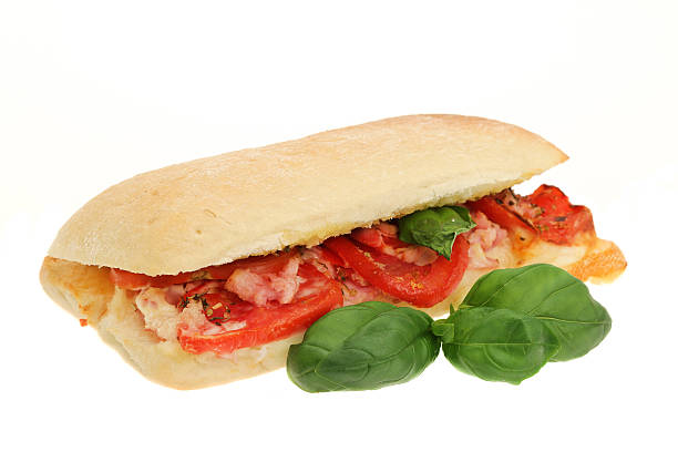 istock Grilled cheese, ham and tomato Panini sandwich 483115541
