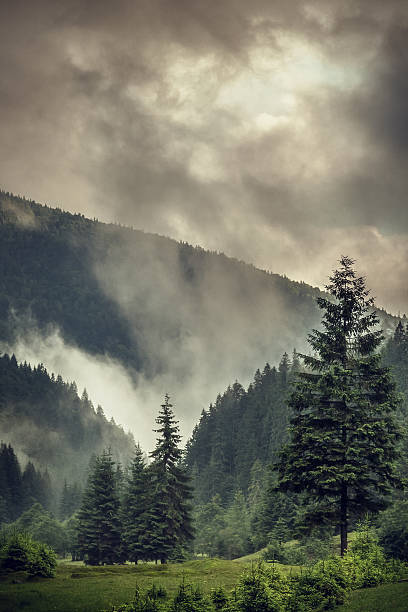 istock misty and rainy mountain 483116245