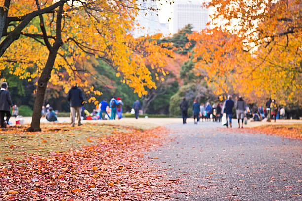 istock Red leaves at the Autumn Park 483116297