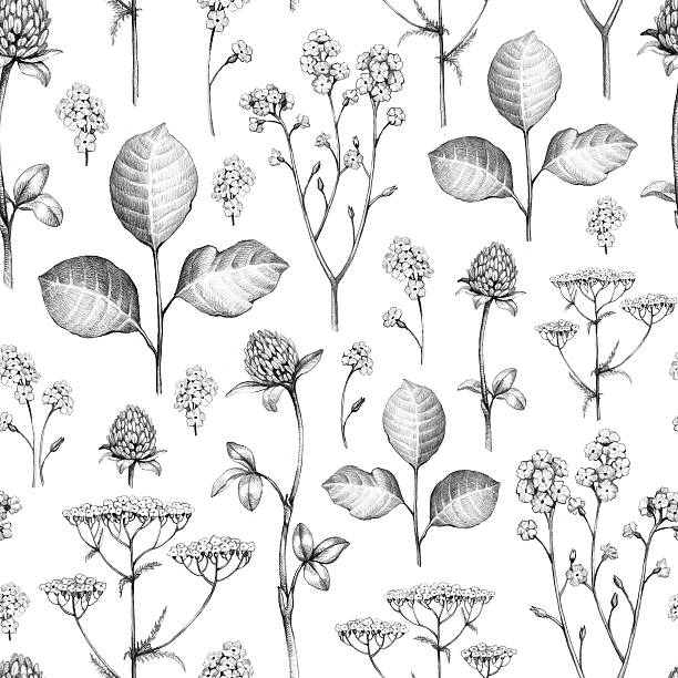 Wild flowers drawing. Seamless pattern vector art illustration