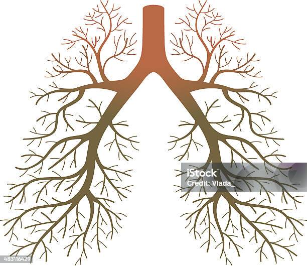 Lung Patients Stock Illustration - Download Image Now - Bronchus, Addiction, Anatomy