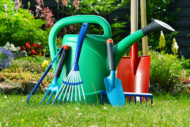 istock Watering can and tools in the garden 483117220