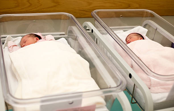 istock Newborn twins in hospital 483117245