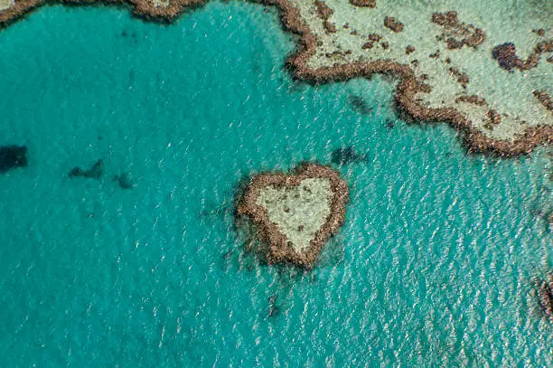 Birds eye view of Heart shaped reef on the great barrier reef