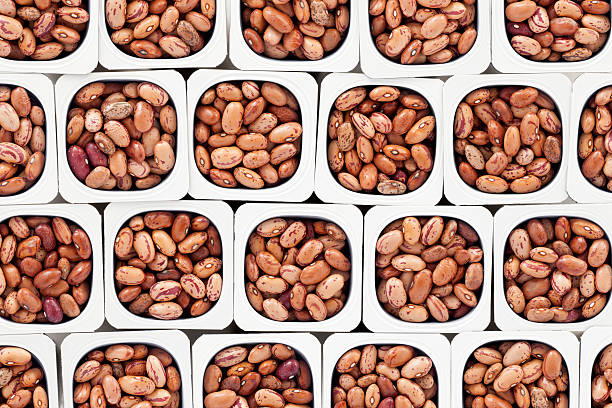 Pinto beans