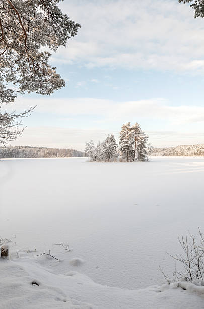 istock Island on the frozen winter lake. 483118675