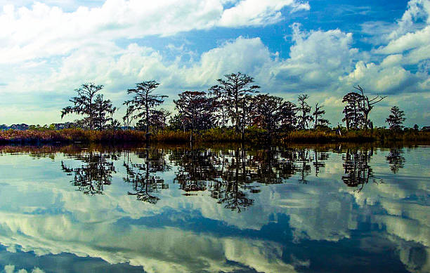 Reflection Mackey River Reflection saint simons island photos stock pictures, royalty-free photos & images